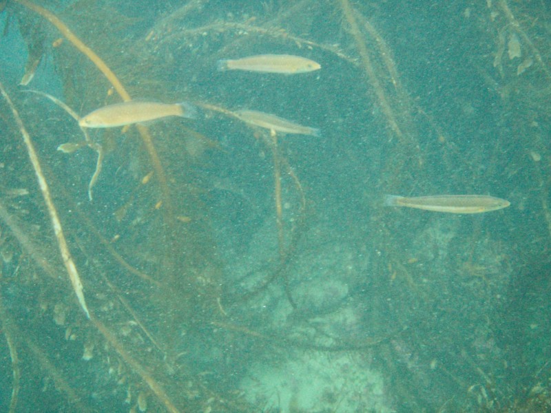 sm_p2100035.jpg