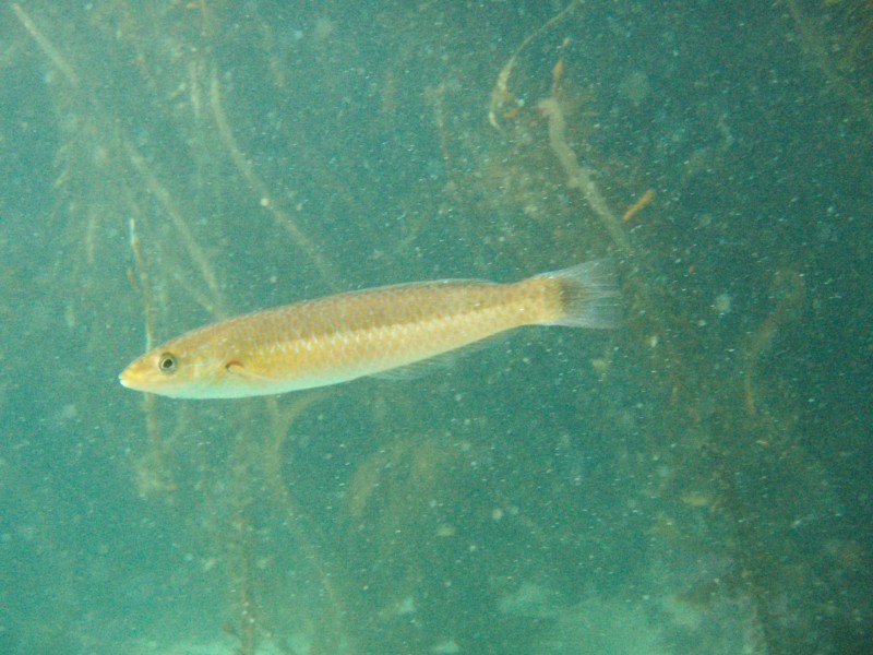 sm_p2100039.jpg