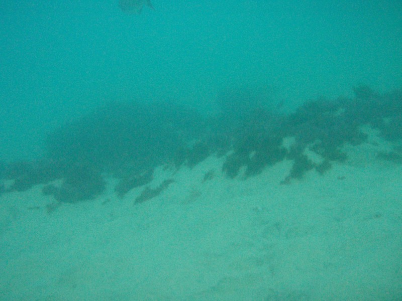 sm_p2100040.jpg