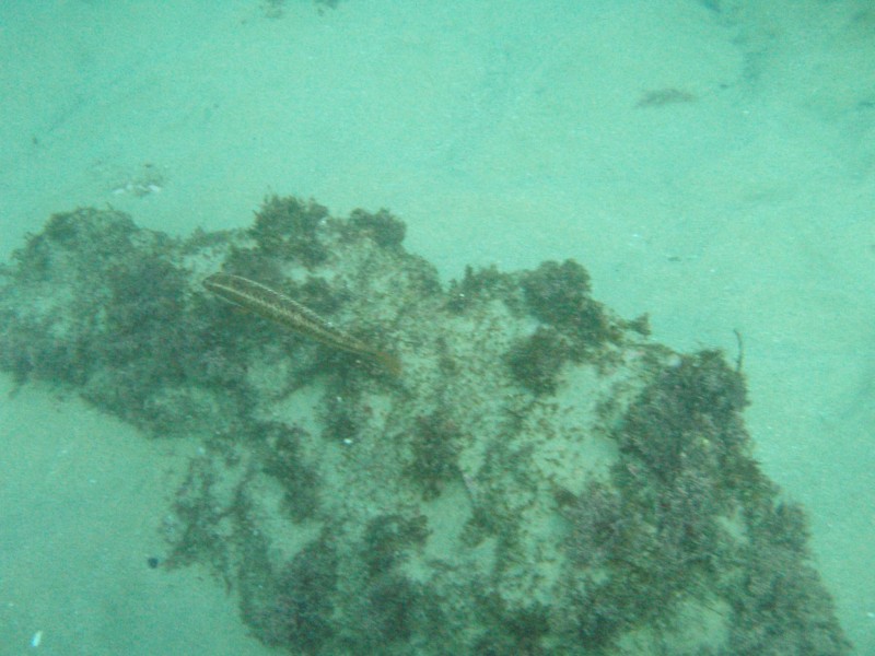 sm_p2100045.jpg