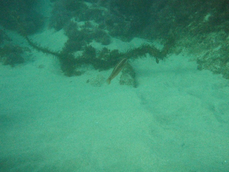 sm_p2100046.jpg