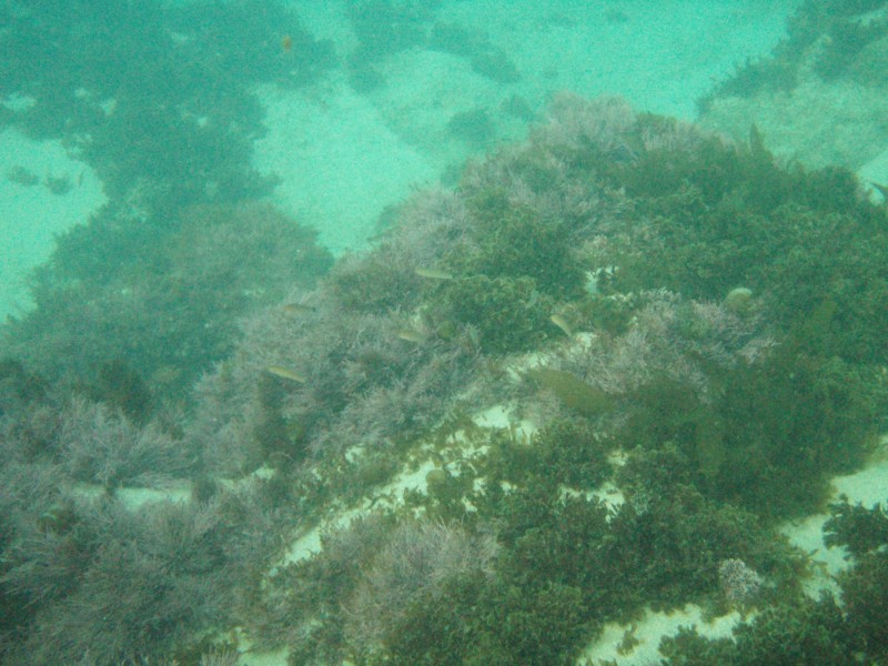 sm_p2100047.jpg