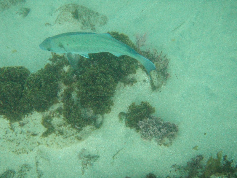 sm_p2100048.jpg