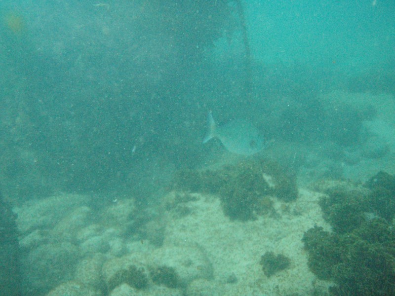 sm_p2100049.jpg