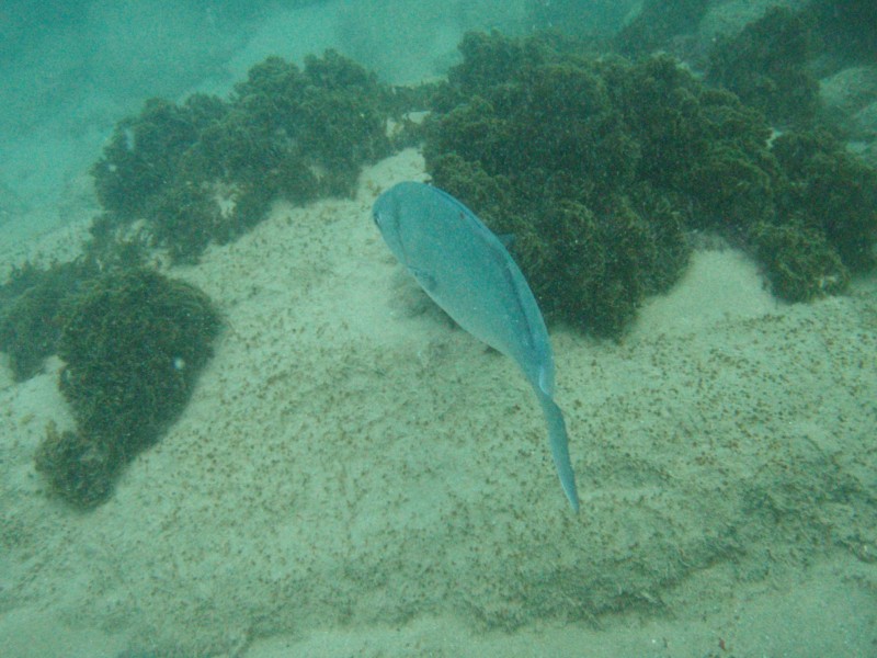 sm_p2100050.jpg