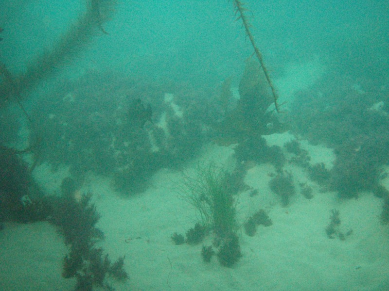sm_p2100051.jpg