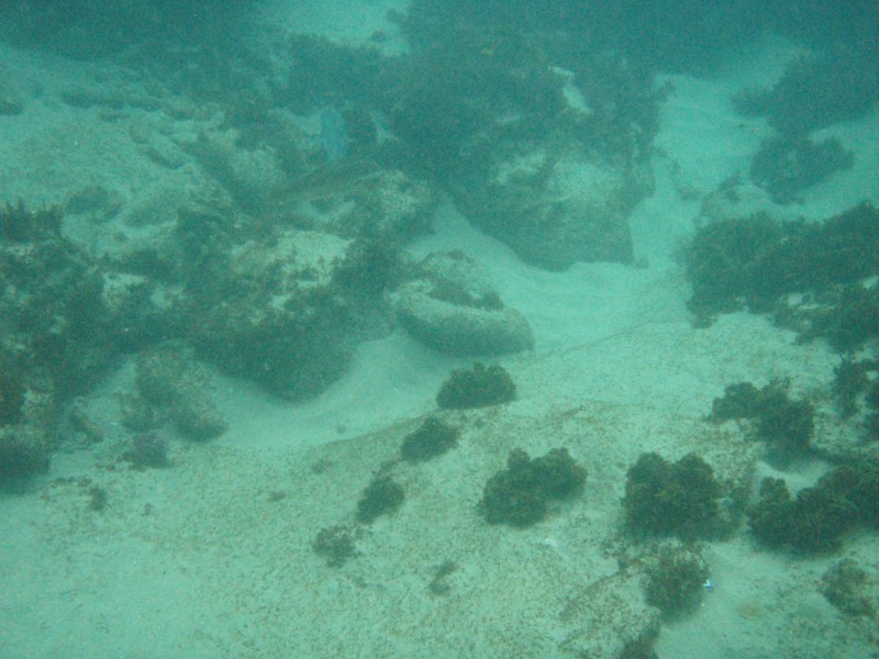 sm_p2100052.jpg