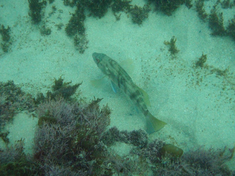 sm_p2100054.jpg