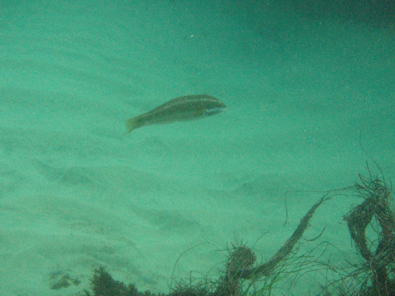 sm_p2100056.jpg