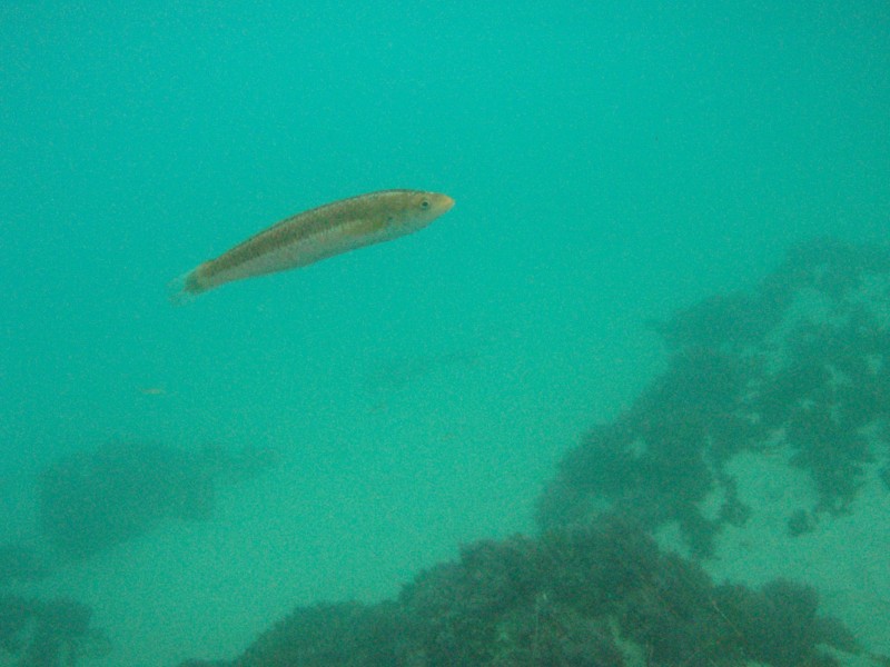 sm_p2100057.jpg