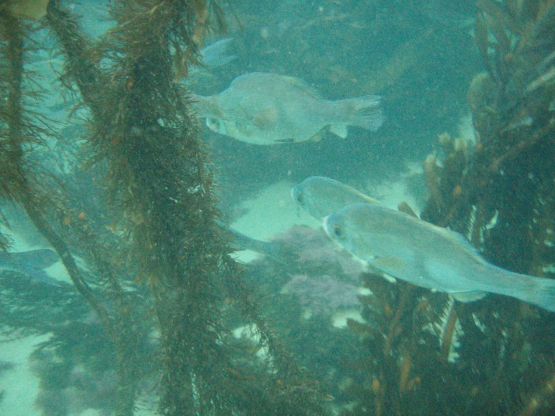 sm_p2100063.jpg