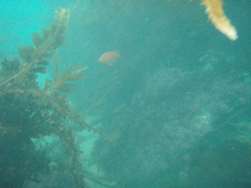 sm_p2100065.jpg