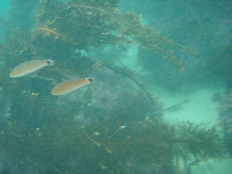 sm_p2100066.jpg