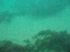 sm_p2100016.jpg