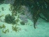 sm_p2100027.jpg