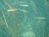 sm_p2100035.jpg