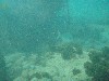 sm_p2100049.jpg