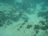 sm_p2100052.jpg