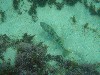 sm_p2100054.jpg