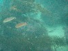 sm_p2100066.jpg