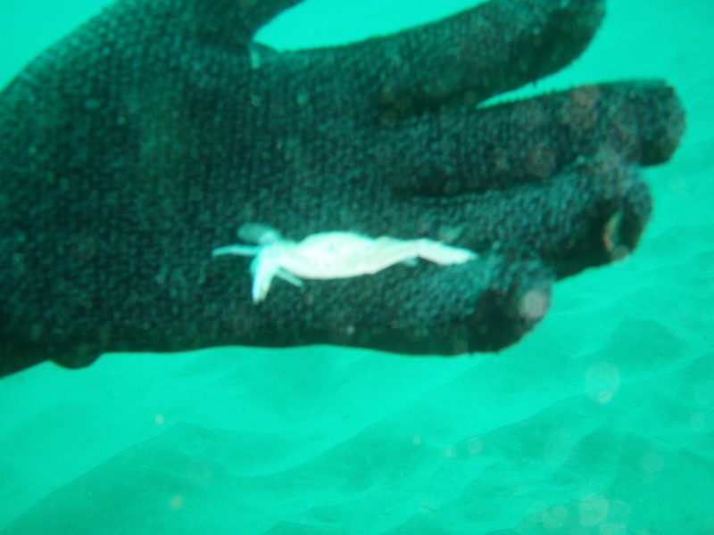 sm_p2240007.jpg