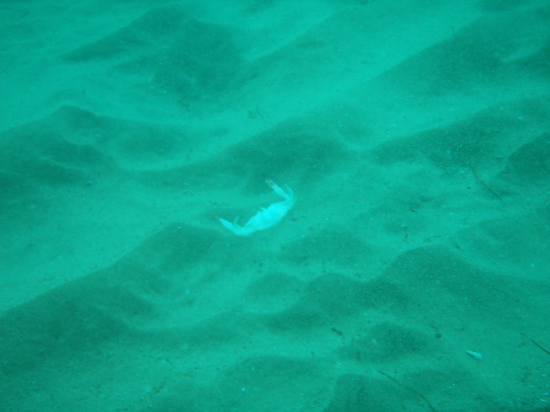 sm_p2240008.jpg