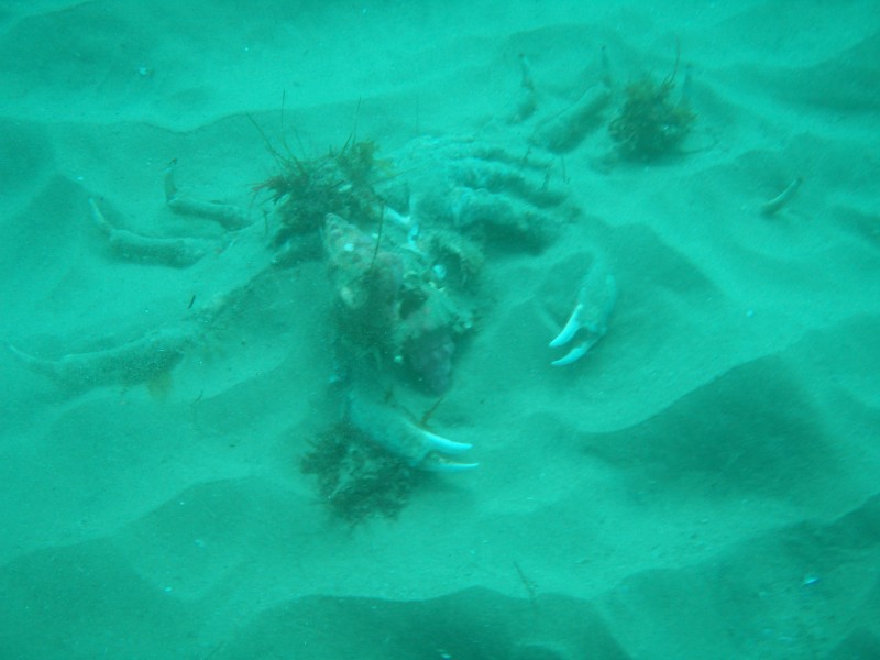 sm_p2240009.jpg