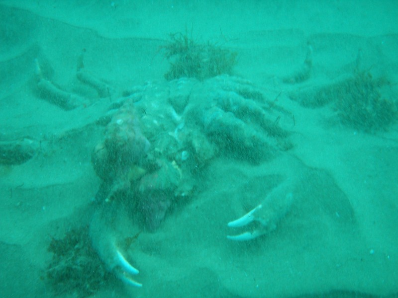 sm_p2240010.jpg