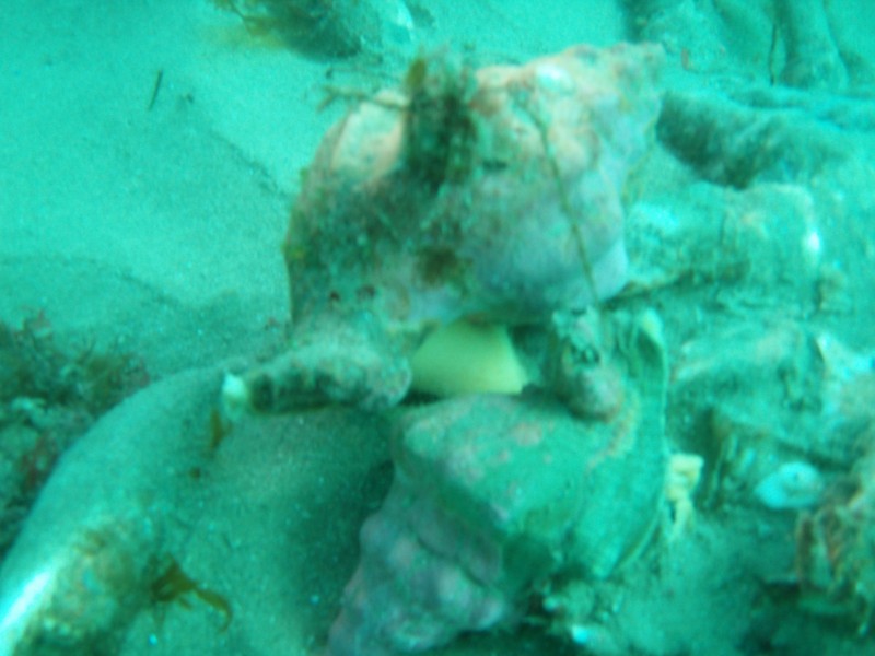 sm_p2240013.jpg