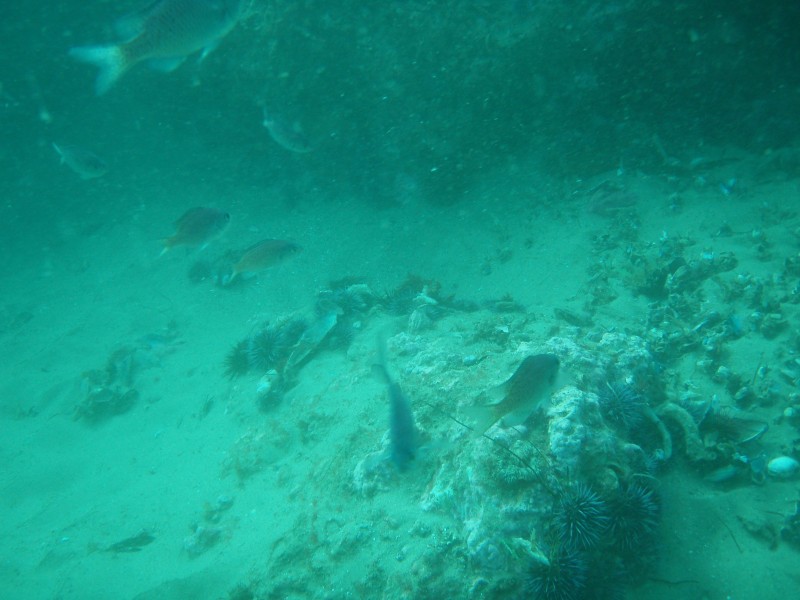 sm_p2240015.jpg