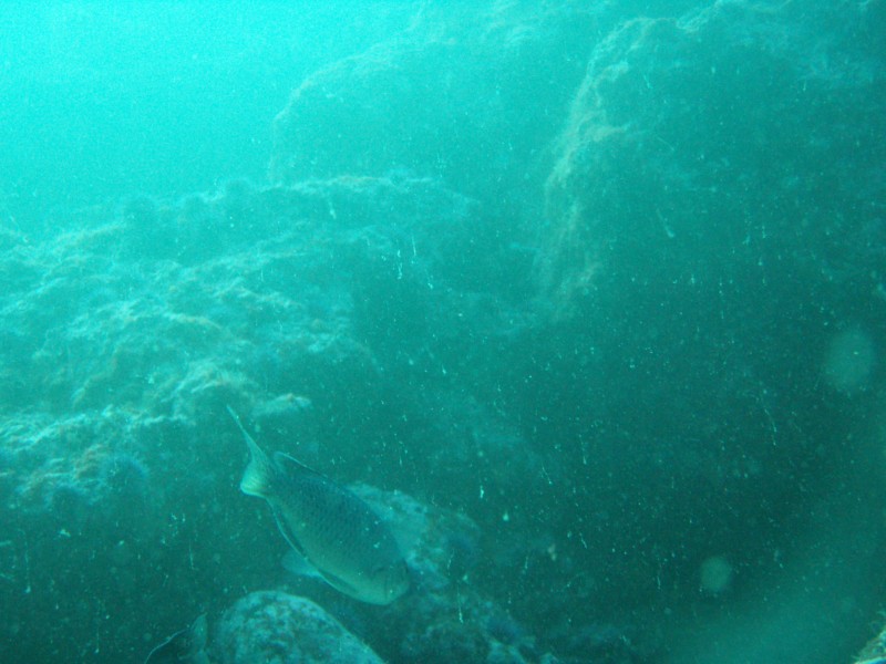 sm_p2240020.jpg