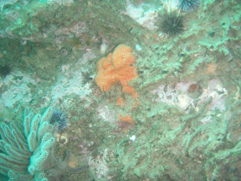 sm_p2240022.jpg