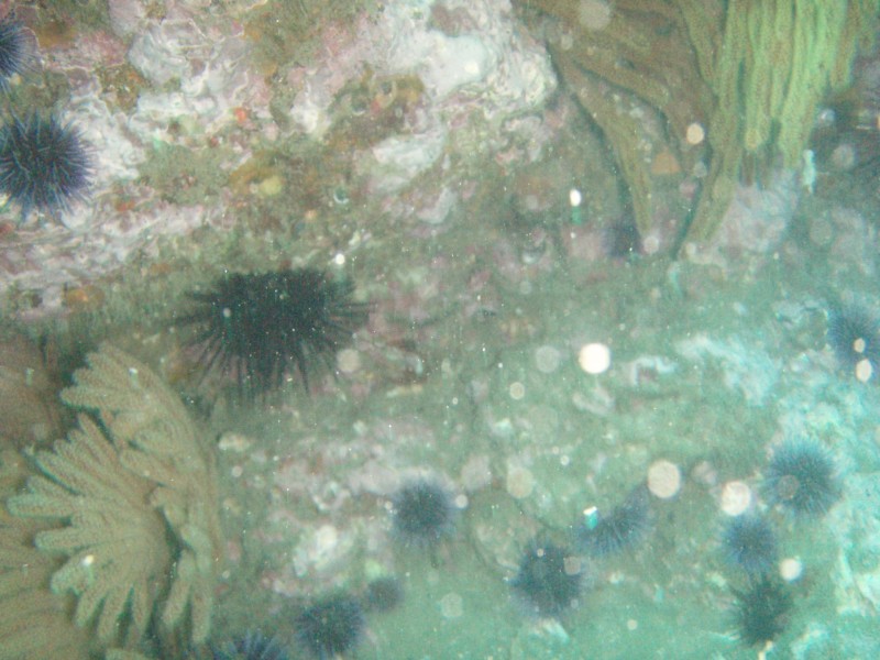 sm_p2240023.jpg