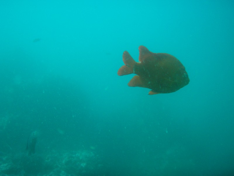 sm_p2240024.jpg