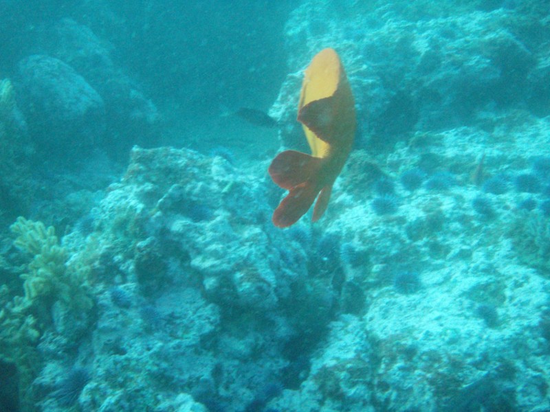 sm_p2240025.jpg