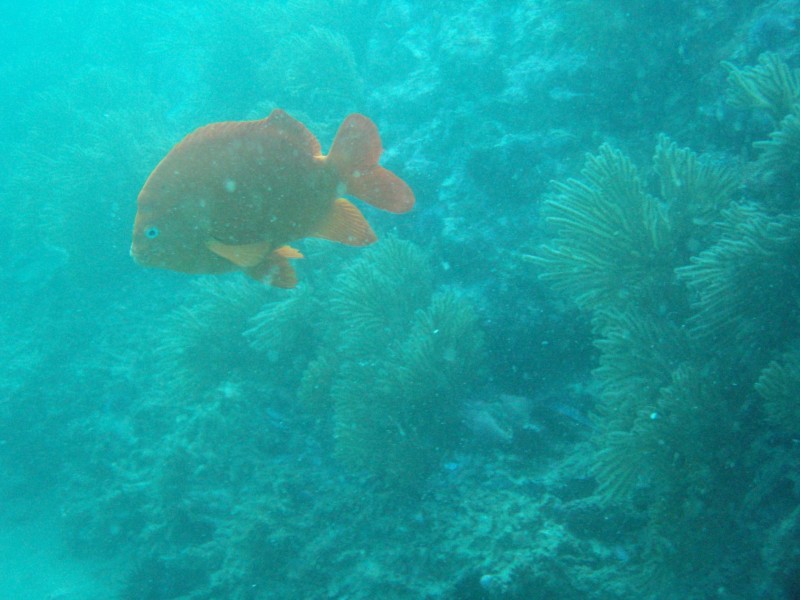 sm_p2240027.jpg