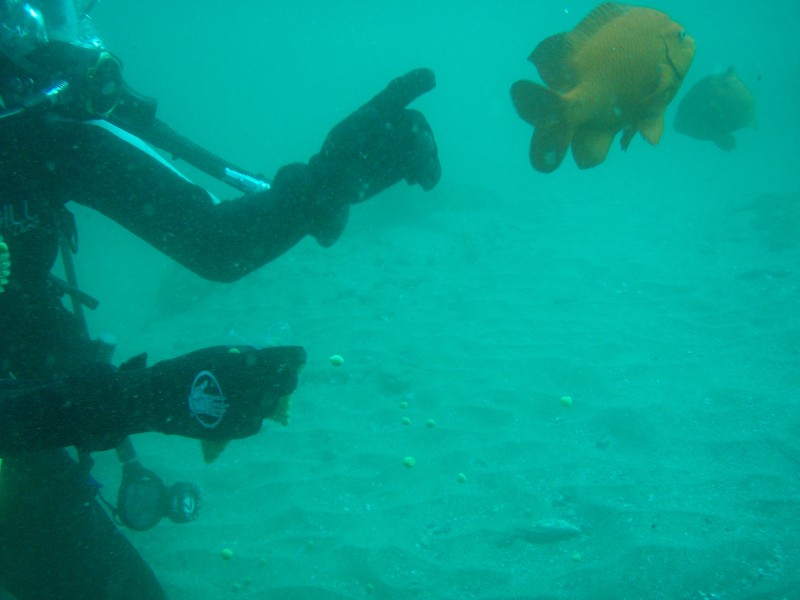sm_p2240028.jpg