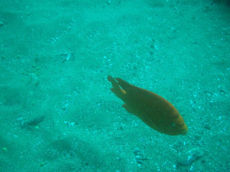 sm_p2240031.jpg