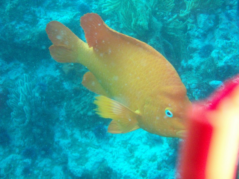 sm_p2240032.jpg