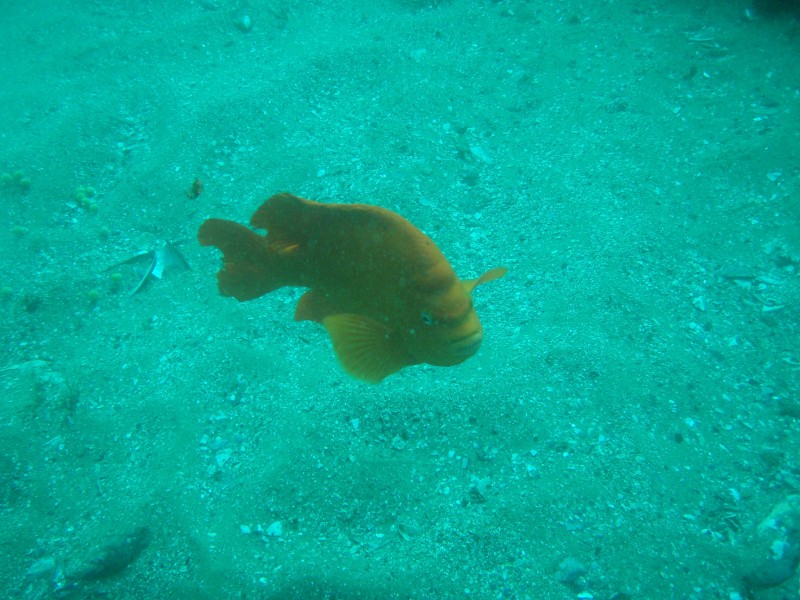 sm_p2240034.jpg