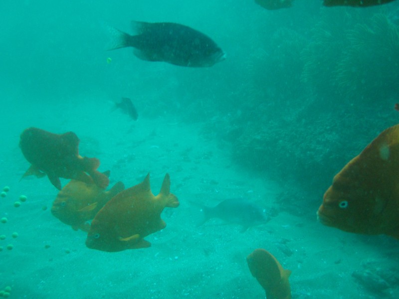 sm_p2240037.jpg