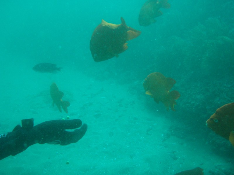 sm_p2240038.jpg
