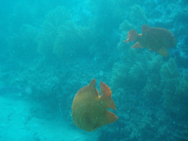 sm_p2240039.jpg