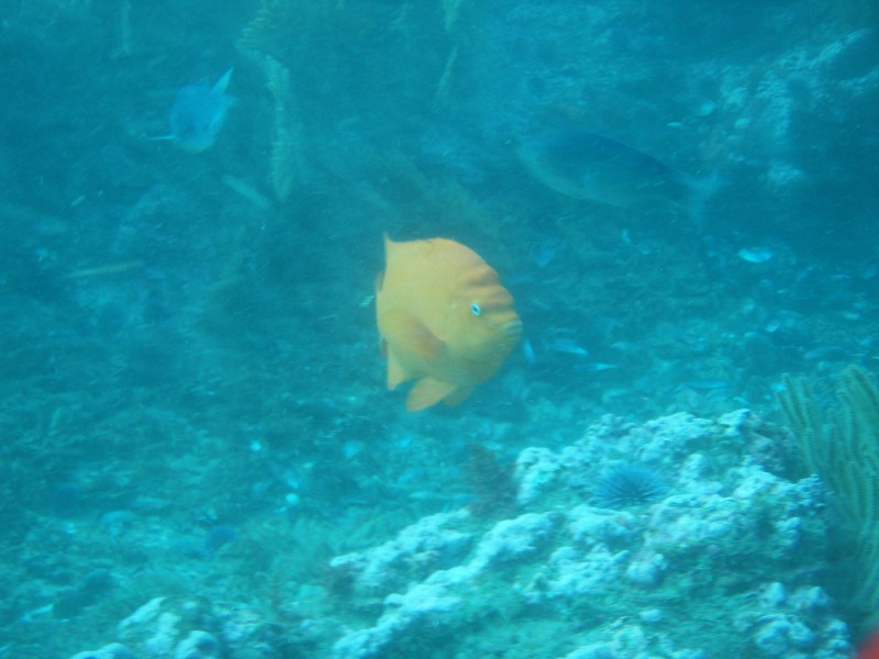 sm_p2240046.jpg