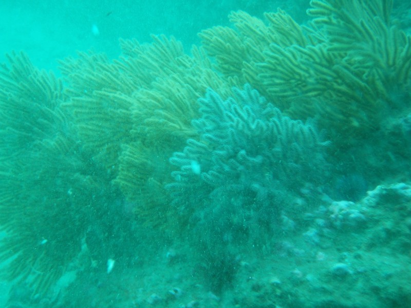 sm_p2240047.jpg