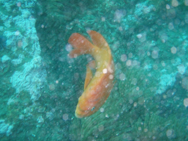 sm_p2240048.jpg
