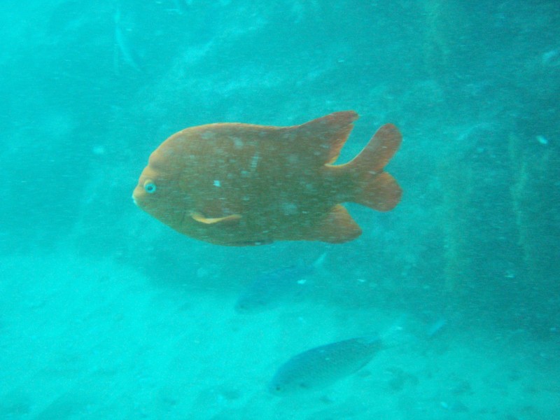 sm_p2240051.jpg