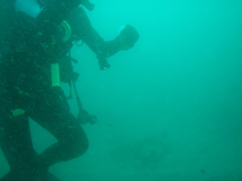 sm_p2240052.jpg