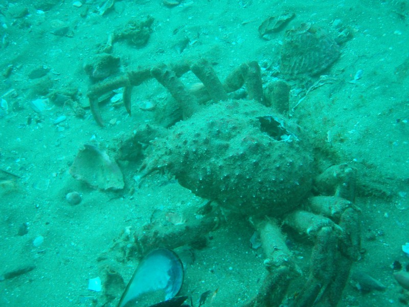 sm_p2240055.jpg