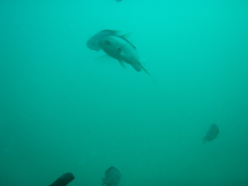 sm_p2240056.jpg